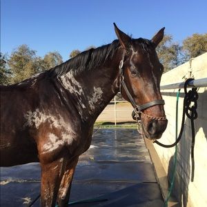 Meet your Posher, Susan